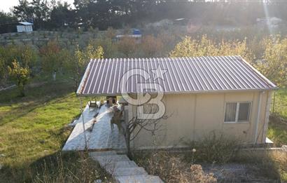 Yakaköy Özbek Mevkiinde 1+1 evi olan kiraz bahçesi