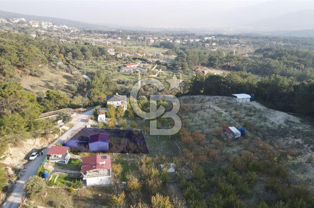 Yakaköy Özbek Mevkiinde 1+1 evi olan kiraz bahçesi