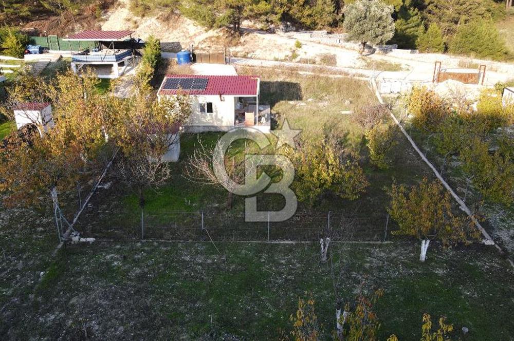 Yakaköy Özbek Mevkiinde 1+1 evi olan kiraz bahçesi