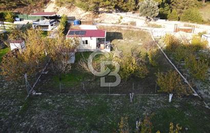 Yakaköy Özbek Mevkiinde 1+1 evi olan kiraz bahçesi