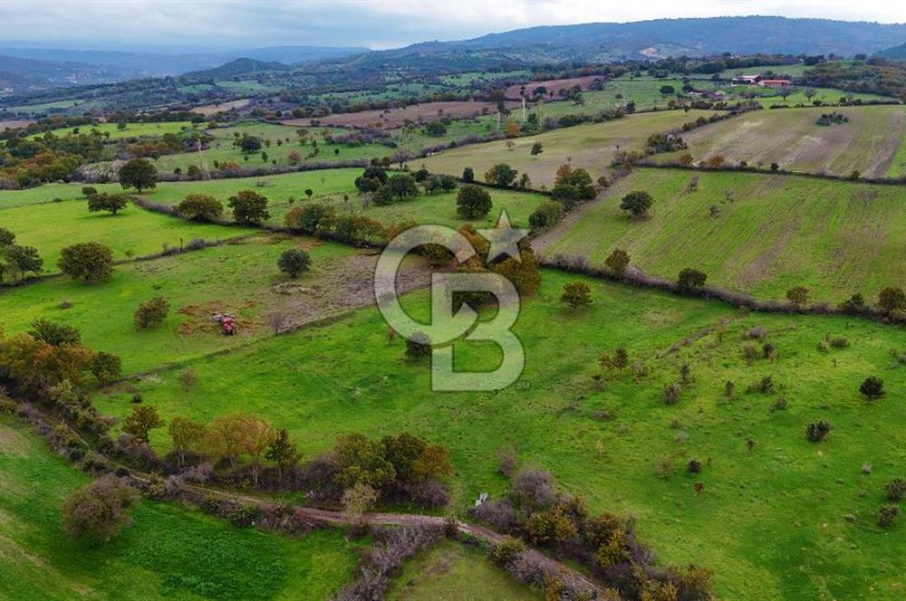 Çanakkale Ayvacık Süleyman Köyünde Satılık 8.210 m2 Tarla !