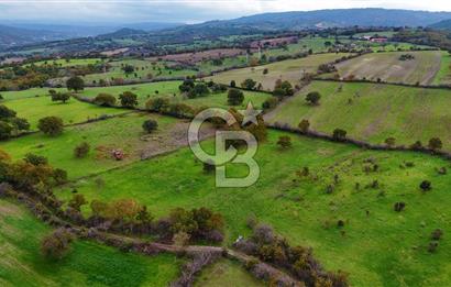 Çanakkale Ayvacık Süleyman Köyünde Satılık 8.210 m2 Tarla !