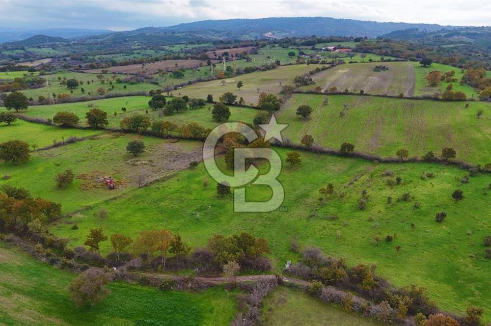 Çanakkale Ayvacık Süleyman Köyünde Satılık 8.210 m2 Tarla !