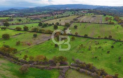 Çanakkale Ayvacık Süleyman Köyünde Satılık 8.210 m2 Tarla !