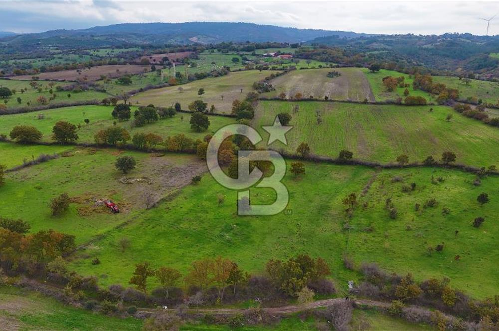 Çanakkale Ayvacık Süleyman Köyünde Satılık 8.210 m2 Tarla !