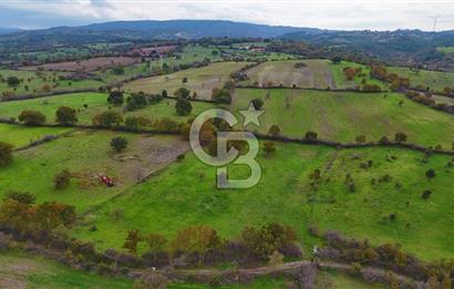 Çanakkale Ayvacık Süleyman Köyünde Satılık 8.210 m2 Tarla !