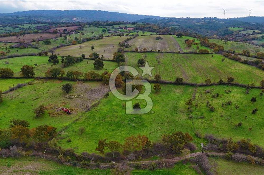 Çanakkale Ayvacık Süleyman Köyünde Satılık 8.210 m2 Tarla !