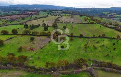 Çanakkale Ayvacık Süleyman Köyünde Satılık 8.210 m2 Tarla !