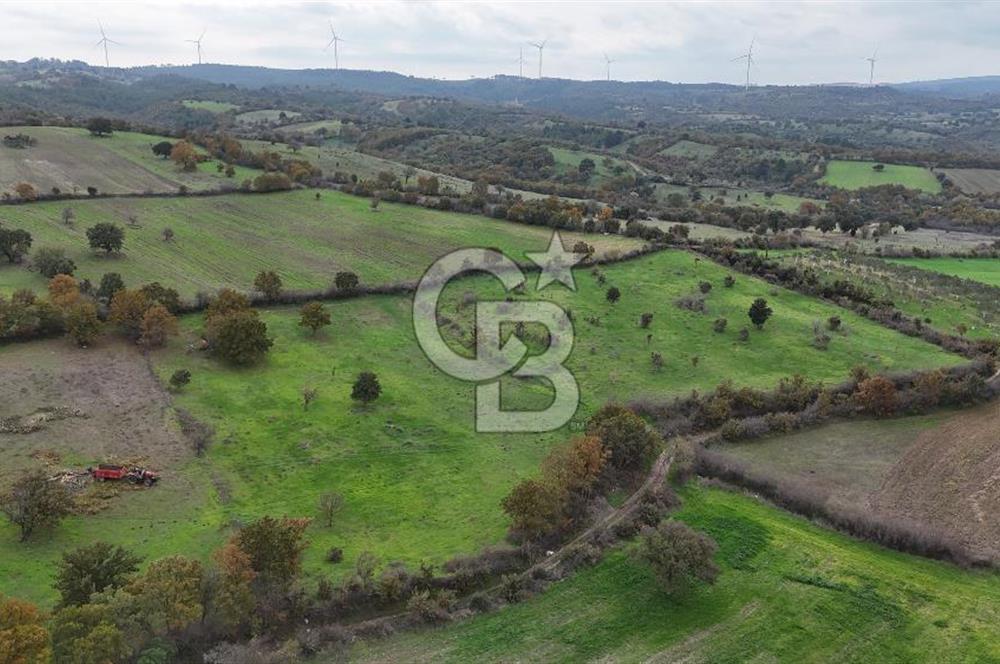 Çanakkale Ayvacık Süleyman Köyünde Satılık 8.210 m2 Tarla !
