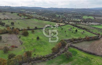 Çanakkale Ayvacık Süleyman Köyünde Satılık 8.210 m2 Tarla !