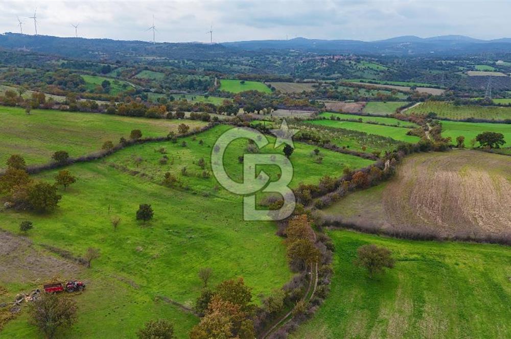 Çanakkale Ayvacık Süleyman Köyünde Satılık 8.210 m2 Tarla !