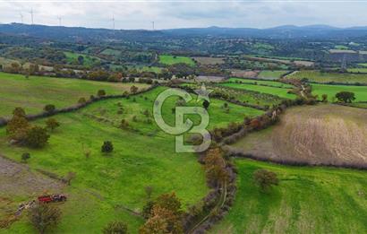 Çanakkale Ayvacık Süleyman Köyünde Satılık 8.210 m2 Tarla !