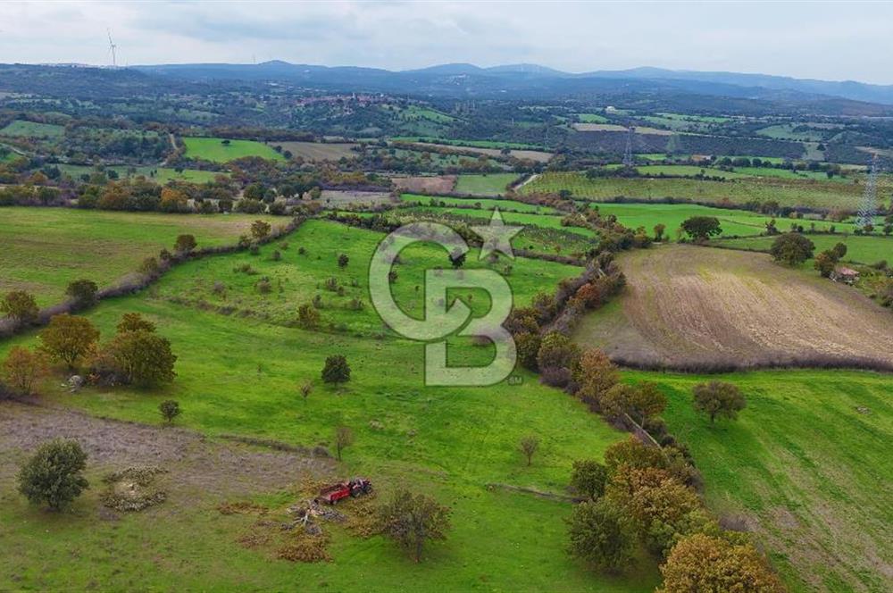 Çanakkale Ayvacık Süleyman Köyünde Satılık 8.210 m2 Tarla !
