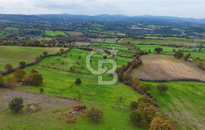 Çanakkale Ayvacık Süleyman Köyünde Satılık 8.210 m2 Tarla !