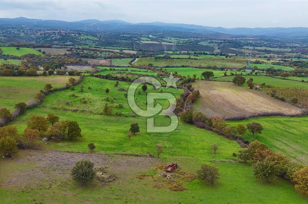 Çanakkale Ayvacık Süleyman Köyünde Satılık 8.210 m2 Tarla !