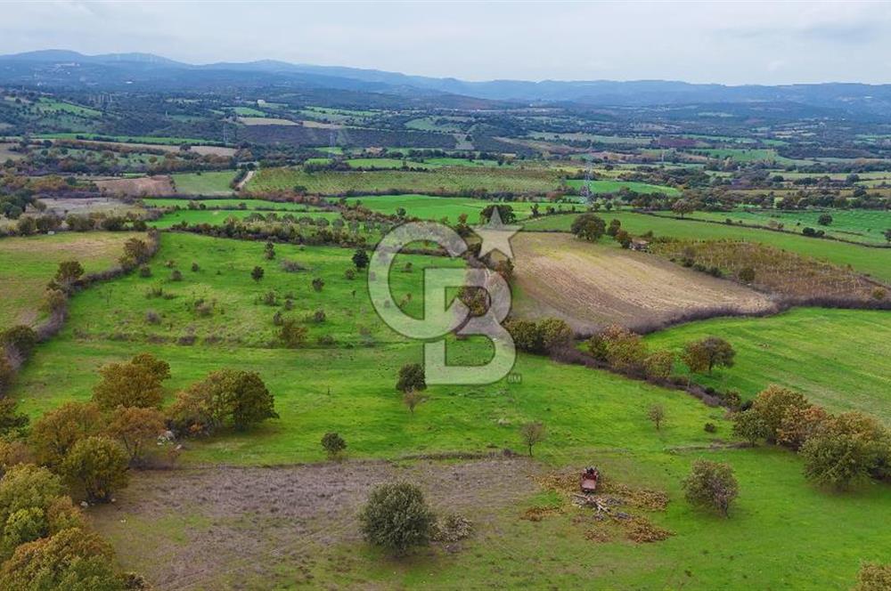 Çanakkale Ayvacık Süleyman Köyünde Satılık 8.210 m2 Tarla !