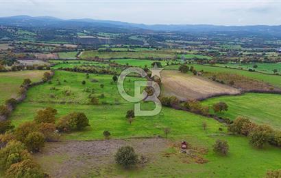 Çanakkale Ayvacık Süleyman Köyünde Satılık 8.210 m2 Tarla !