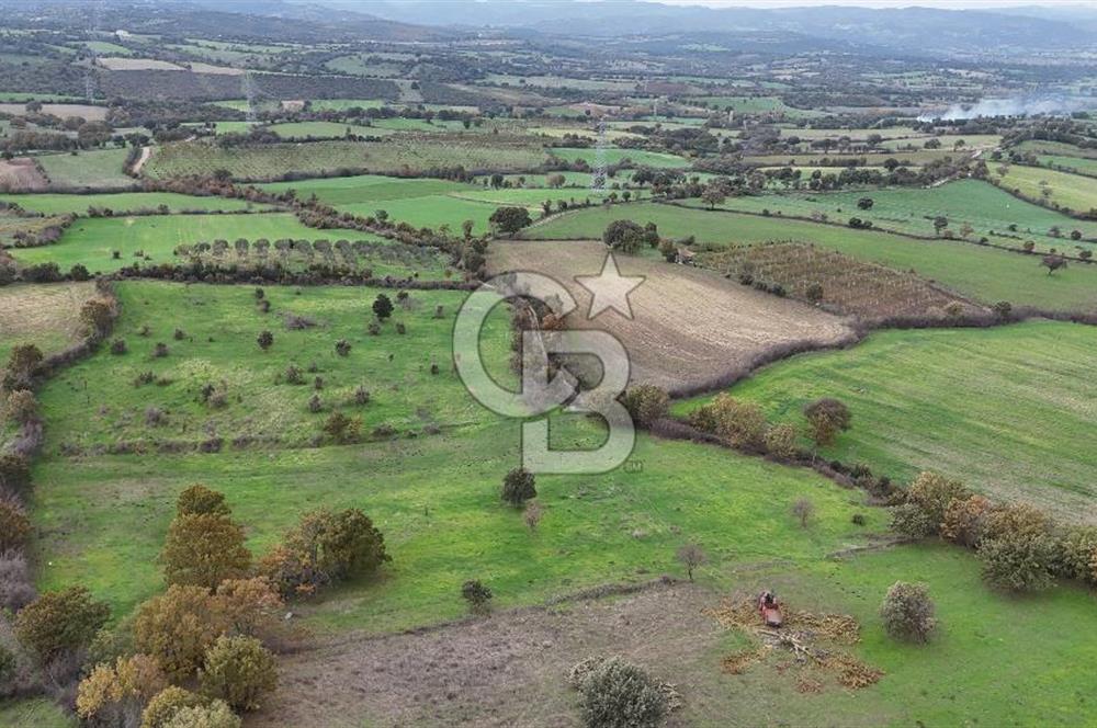 Çanakkale Ayvacık Süleyman Köyünde Satılık 8.210 m2 Tarla !