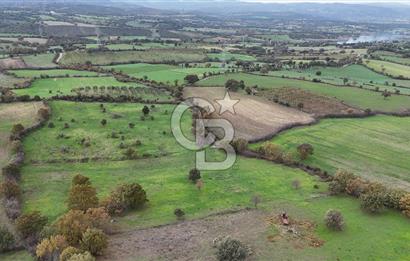 Çanakkale Ayvacık Süleyman Köyünde Satılık 8.210 m2 Tarla !