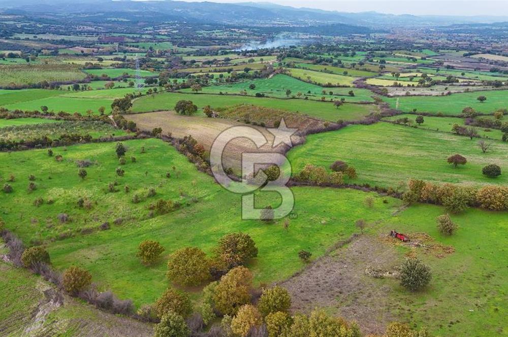 Çanakkale Ayvacık Süleyman Köyünde Satılık 8.210 m2 Tarla !