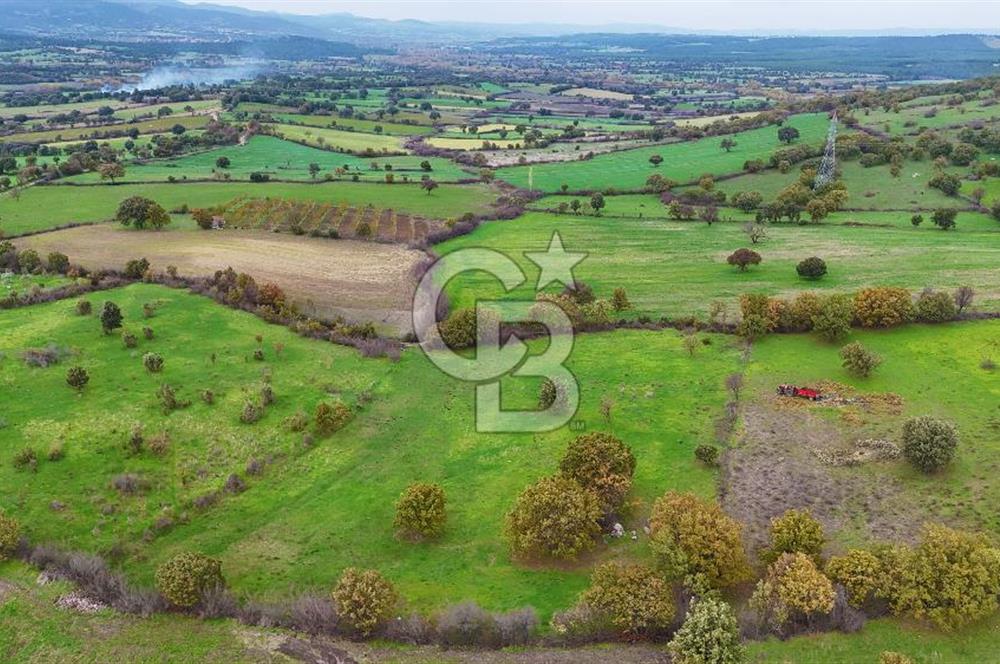 Çanakkale Ayvacık Süleyman Köyünde Satılık 8.210 m2 Tarla !