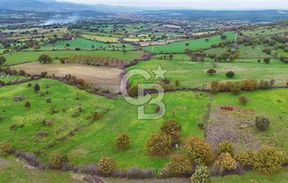 Çanakkale Ayvacık Süleyman Köyünde Satılık 8.210 m2 Tarla !