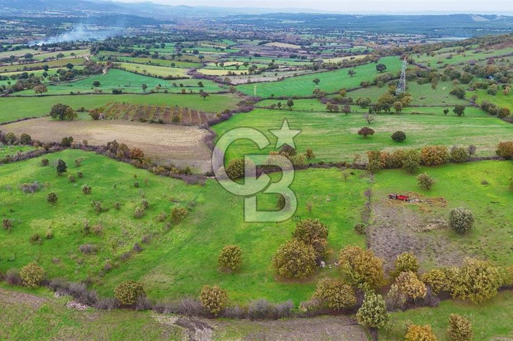 Çanakkale Ayvacık Süleyman Köyünde Satılık 8.210 m2 Tarla !
