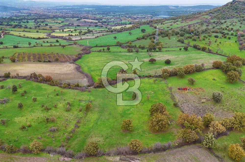 Çanakkale Ayvacık Süleyman Köyünde Satılık 8.210 m2 Tarla !