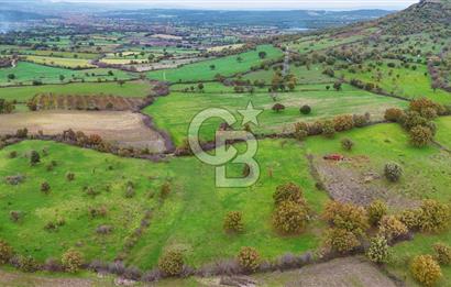 Çanakkale Ayvacık Süleyman Köyünde Satılık 8.210 m2 Tarla !