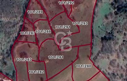 ÇANAKKALE / YENİCE NAMAZGAH KÖYÜ SATILIK 76.318 m² TARLa