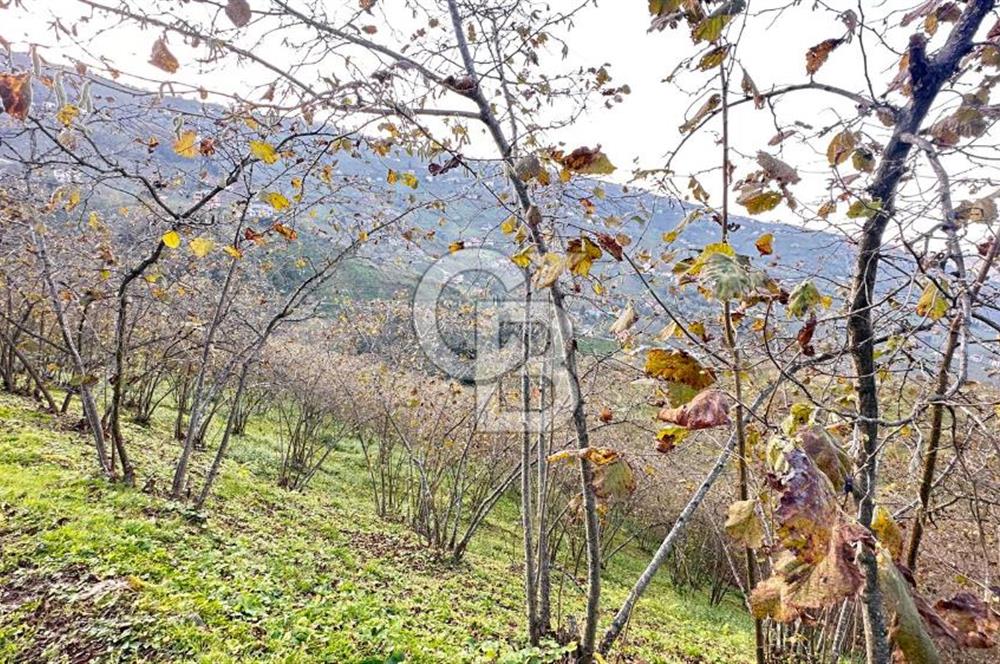 MAĞMAT GEÇİT MAHALLESİNDE SATILIK ARSA