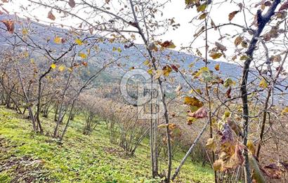 MAĞMAT GEÇİT MAHALLESİNDE SATILIK ARSA