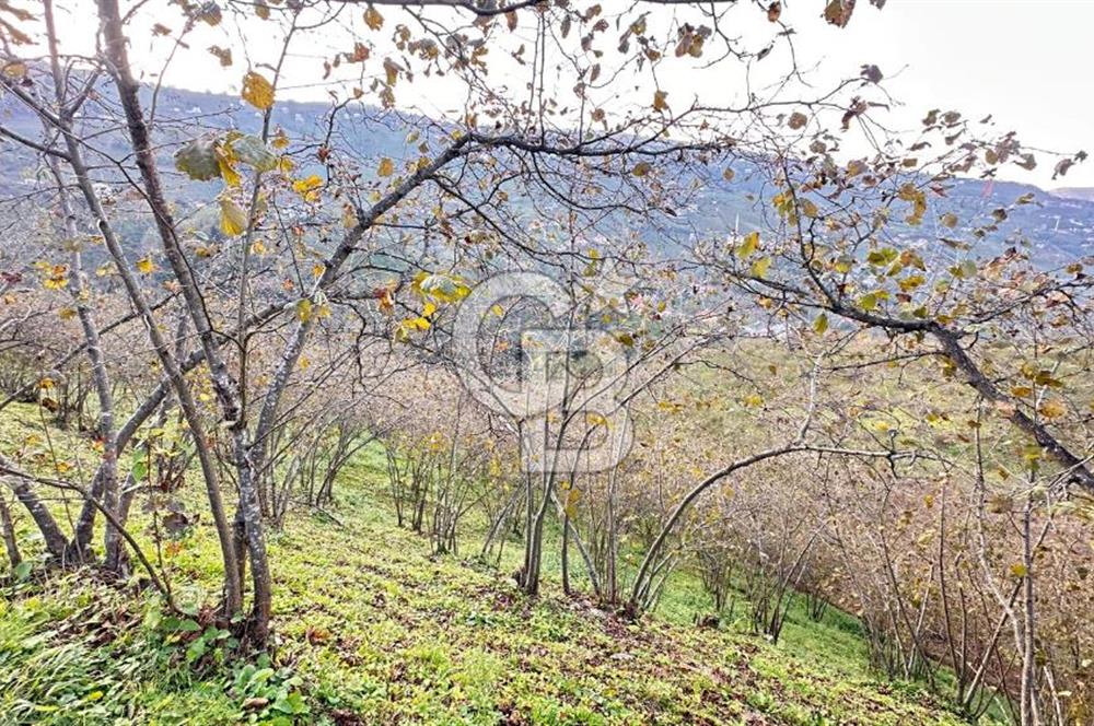 MAĞMAT GEÇİT MAHALLESİNDE SATILIK ARSA