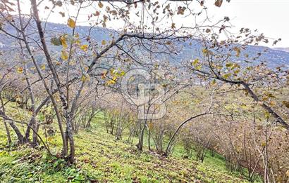 MAĞMAT GEÇİT MAHALLESİNDE SATILIK ARSA