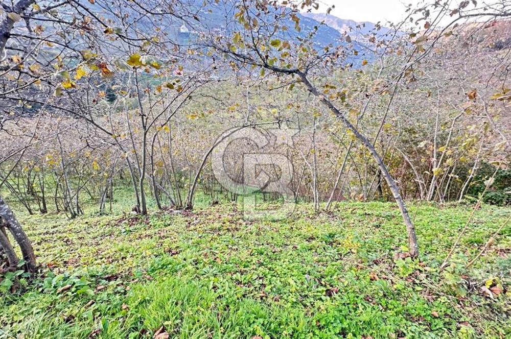 MAĞMAT GEÇİT MAHALLESİNDE SATILIK ARSA