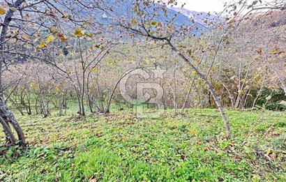 MAĞMAT GEÇİT MAHALLESİNDE SATILIK ARSA