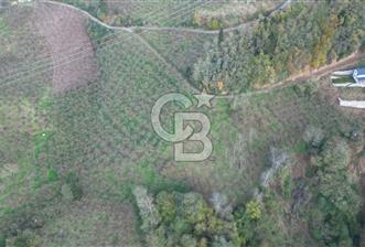 MAĞMAT GEÇİT MAHALLESİNDE SATILIK ARSA - 1 - 317017