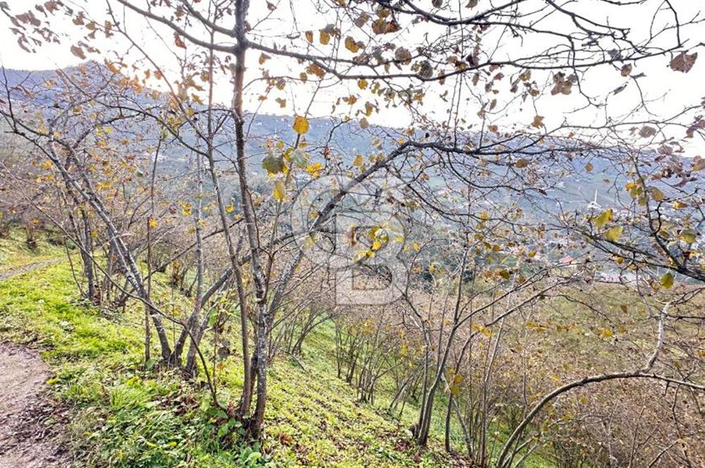 MAĞMAT GEÇİT MAHALLESİNDE SATILIK ARSA