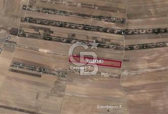 SATILIK 1000 m² ARSA GÖLBAŞI / ÇERKEZHÖYÜK - 1 - 316972