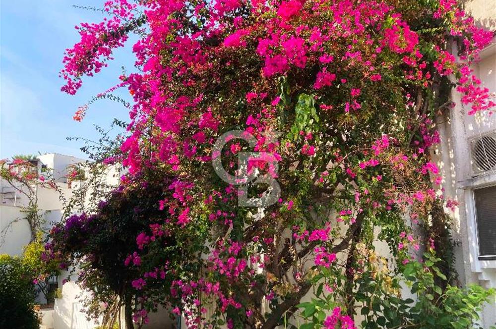 Satılık Datça Petya Sitesinde Deniz Manzaralı Villa