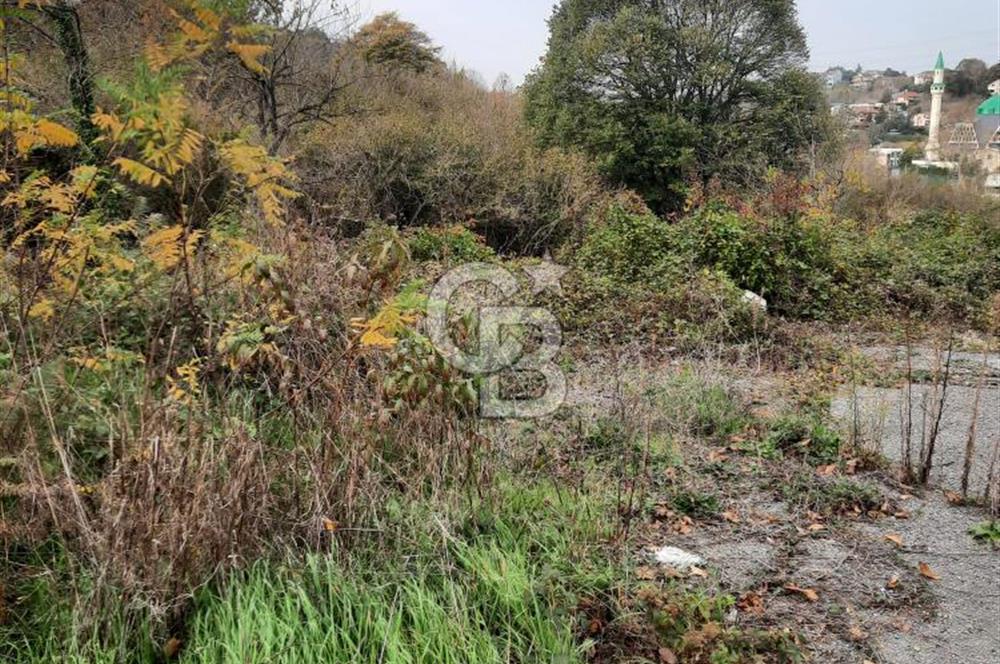 CCB'DAN BEYKOZ ELMALI, 498M2, YATIRIM DEĞERİ YÜKSEK, SATILIK ARSA