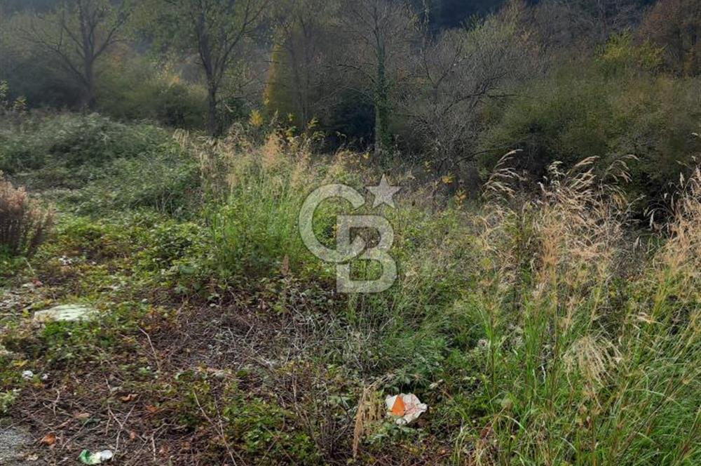 CCB'DAN BEYKOZ ELMALI, 498M2, YATIRIM DEĞERİ YÜKSEK, SATILIK ARSA