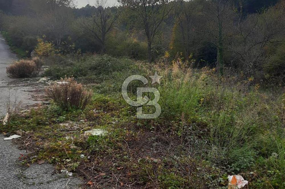 CCB'DAN BEYKOZ ELMALI, 498M2, YATIRIM DEĞERİ YÜKSEK, SATILIK ARSA