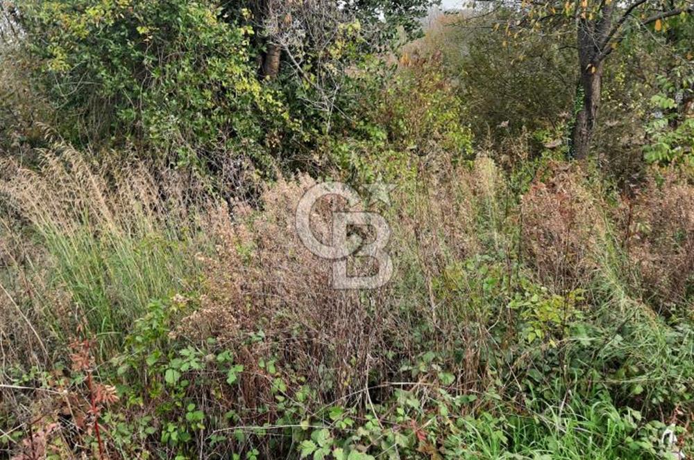 CCB'DAN BEYKOZ ELMALI, 498M2, YATIRIM DEĞERİ YÜKSEK, SATILIK ARSA