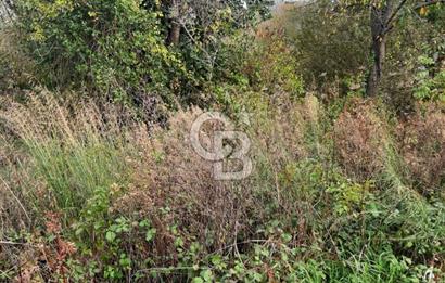 CCB'DAN BEYKOZ ELMALI, 498M2, YATIRIM DEĞERİ YÜKSEK, SATILIK ARSA