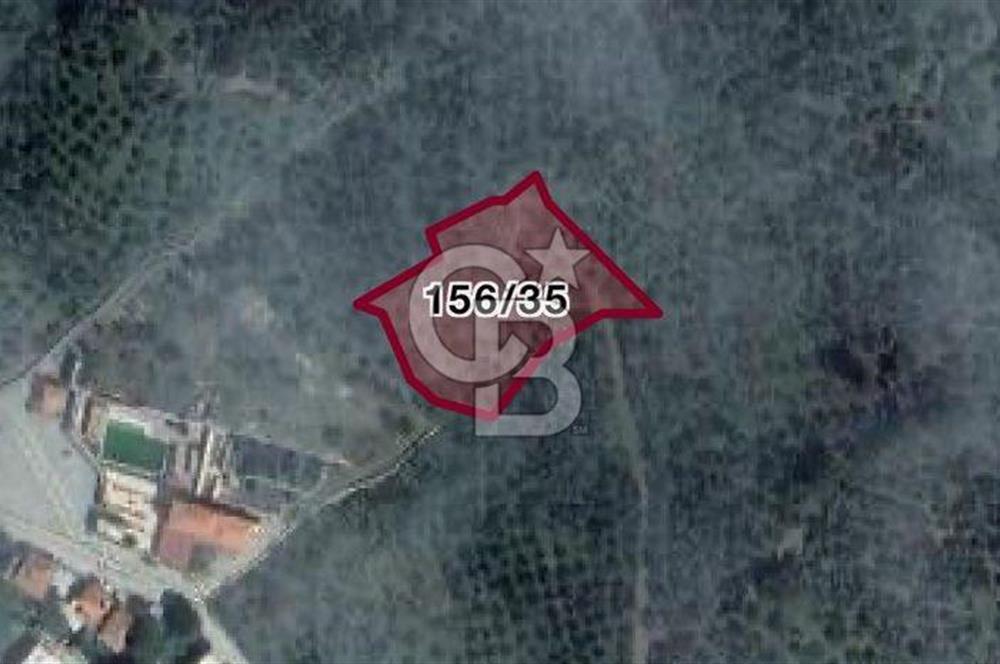 BALIKESİR MEHMETALANDA KÖY İMARINA YAKIN 2900 M2 ZEYTİNLİK