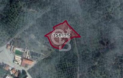 BALIKESİR MEHMETALANDA KÖY İMARINA YAKIN 2900 M2 ZEYTİNLİK