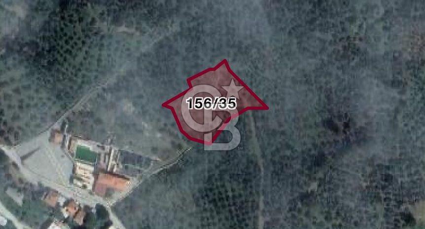 BALIKESİR MEHMETALANDA KÖY İMARINA YAKIN 2900 M2 ZEYTİNLİK