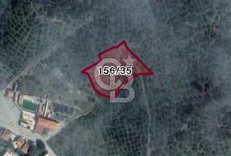 BALIKESİR MEHMETALANDA KÖY İMARINA YAKIN 2900 M2 ZEYTİNLİK - 10 - 317021