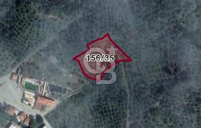 BALIKESİR MEHMETALANDA KÖY İMARINA YAKIN 2900 M2 ZEYTİNLİK